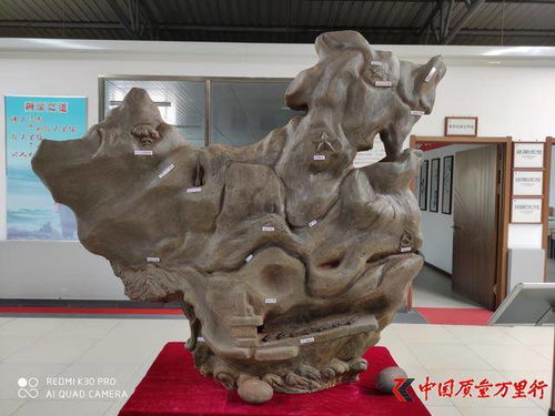 依安龙瓷 集体亮相 2020中国 北京 国际精品陶瓷展览会