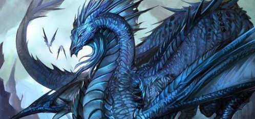 秒人之王 龙杀神的辉煌与陨落